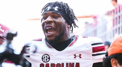 South Carolina defensive back Nick Emmanwori (Katie Dugan/GamecockCentral)