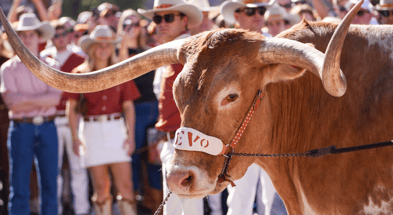 Bevo (Texas Longhorns)