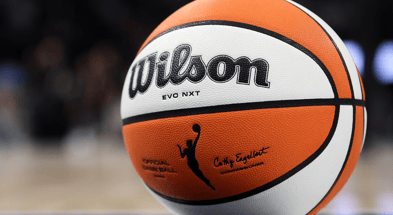 WNBA Ball/Logo