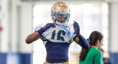 tae johnson