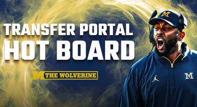Michigan transfer portal hotboard
