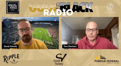 Radio cover LR
