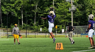 south carolina gamecocks db target tamarion watkins