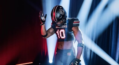 south carolina gamecocks dl target pj dean