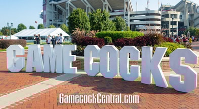 south carolina gamecocks