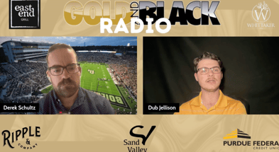 radio cover