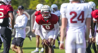 south carolina gamecocks lb jayr johnson