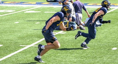Cal receiver Mark Hamper
