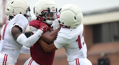Alabama RB Daniel Hill