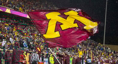 Minnesota flag general