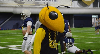 Buzz