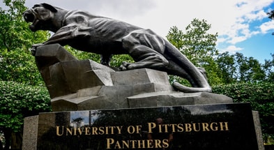 Pittfb3