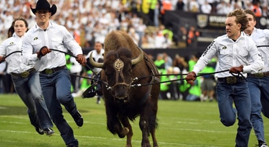 Colorado, Ralphie