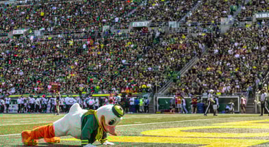 Oregon Duck