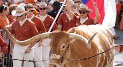NCAA Football: Sam Houston State at Texas
