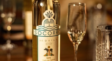 SnapInsta.to_526781043_18076017926496171_4958994059882915660_n copy