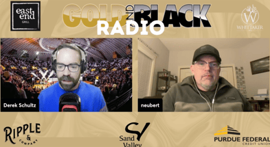 GoldandBlack Radio cover