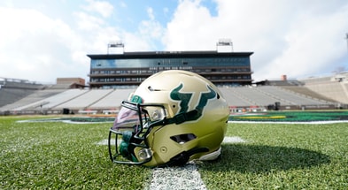 USF helmet