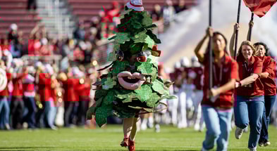NCAA Football: Louisville at Stanford