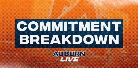 Commitment Breakdown (2)