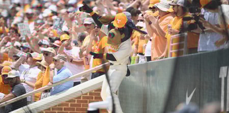 Tennessee Baseball |  Jamar Coach/News Sentinel / USA TODAY NETWORK