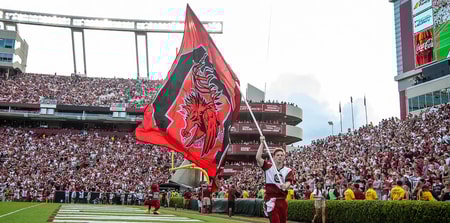 South Carolina's flag in Williams-Brice Stadium (Photo: Montez Aiken | GamecockCentral.com)