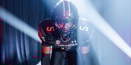 south carolina gamecocks kj johnson