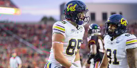 Cal tight end Mason Mini