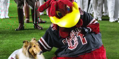 Untitled design - 2025-11-13T133916.186