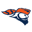 Carroll University Pioneers