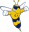 Graceland University