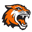 Rochester Institute of Technology Tigers