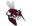 Mesquite