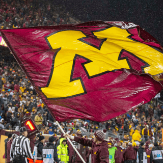 Minnesota flag general
