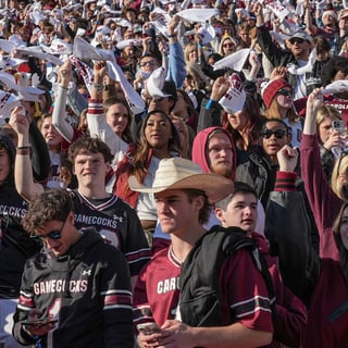 South Carolina football fans