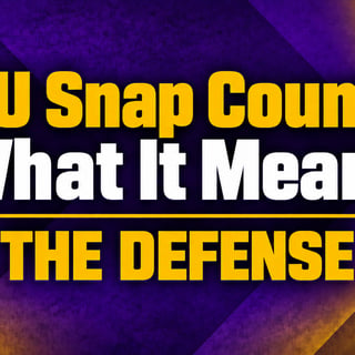 The Bengal Tiger's Shea Dixon on the LSU defense's snap counts and PFF grades from the Ole Miss loss - and what it might mean for changes.