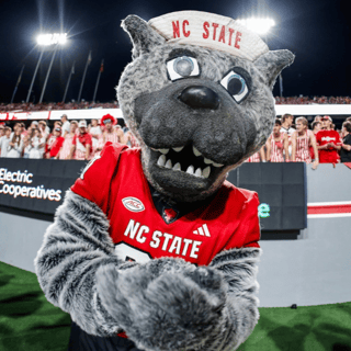 NC State Stock