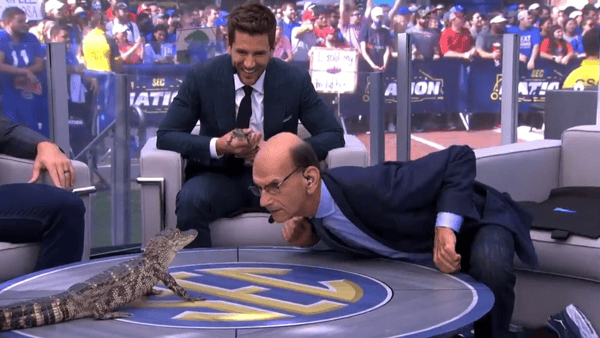 kentucky-south-carolina-will-get-sec-nation-treatment