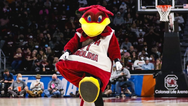 South Carolina mascot Cocky during a basketball game