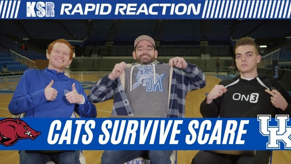 cats-survive-scare