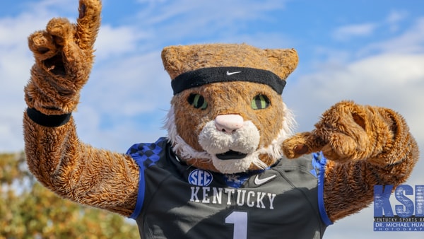 Kentucky Wildcat mascot poses before a football game at Kroger Field - Dr. Michael Huang, Kentucky Sports Radio