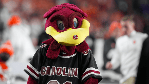 Nov 25, 2023; Columbia, South Carolina, USA; South Carolina Gamecocks mascot Cocky performs on the side lines in the second half against the Clemson Tigers at Williams-Brice Stadium. (David Yeazell-USA TODAY Sports)