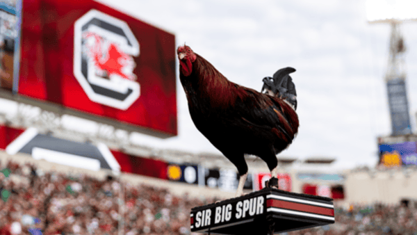 5-things-you-need-to-know-about-the-south-carolina-gamecocks-5