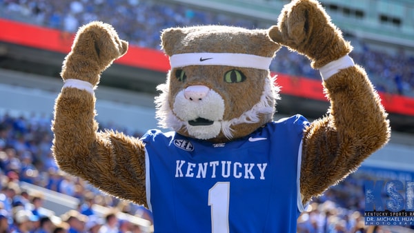 Kentucky Wildcat mascot at Kroger Field - Dr. Michael Huang, Kentucky Sports Radio