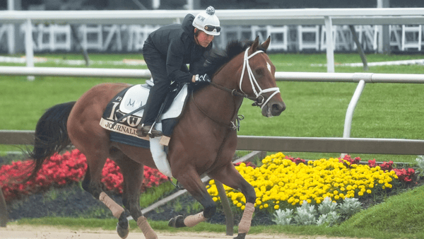 Journalism prepares for the Preakness Stakes, Gregory Fisher-Imagn Images