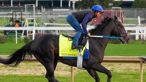 Tiztastic was the winner of the 2025 Louisiana Derby at Fair Grounds, via Michael Clevenger:Courier Journal : USA TODAY NETWORK via Imagn Images