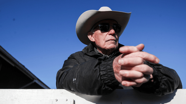 Trainer D. Wayne Lukas surveys the scene outside his stable at Churchill Downs in Louisville, Kentucky, on April 25, 2024 - Matt Stone, USA TODAY NETWORK via Imagn Images