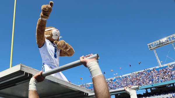 wildcat-mascot-football