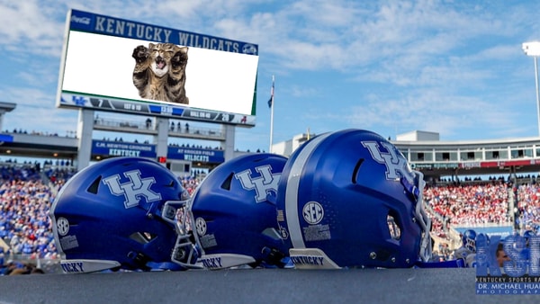 Kroger Field needs more Cats