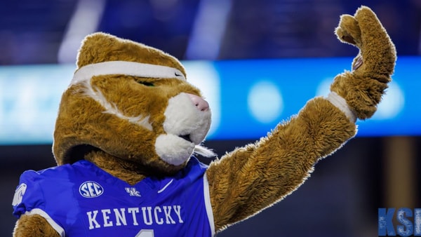 The Kentucky Wildcat mascot at Kroger Field, via Crawford Ifling, KSR